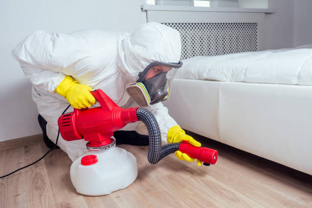 Best Pest Prevention Services  in Montebello, NY